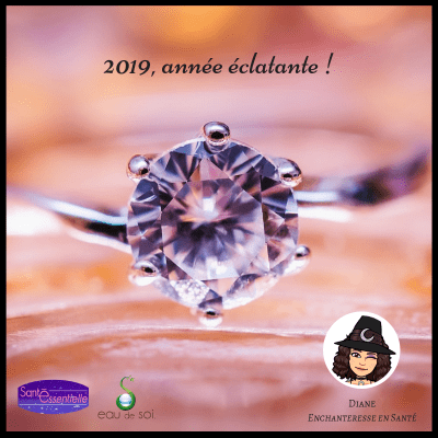 2019 année éclatante - Diane - Enchanteresse en Santé
