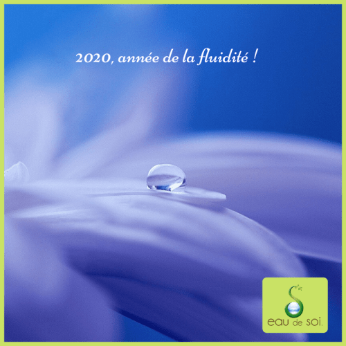 2020 année de la fluidité 1 - Eau de Soi