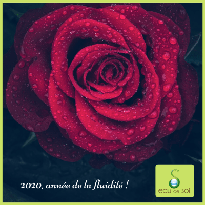 2020 année de la fluidité - Eau de Soi
